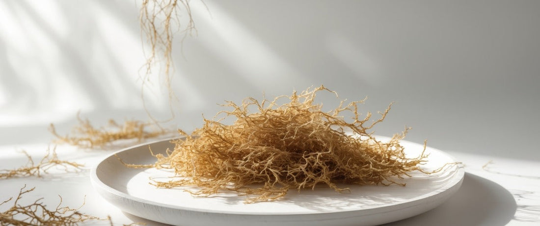 Golden dried Sea Moss on a wooden plate with a few strands hanging loose in the background