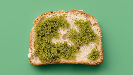 Toast Adorned with sea moss