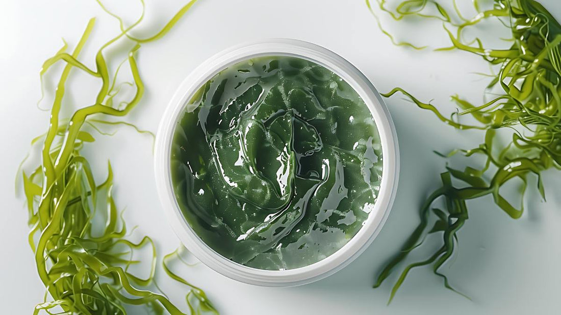 ganic seaweed face mask set on a clean white background with fresh natural seaweed ingredients