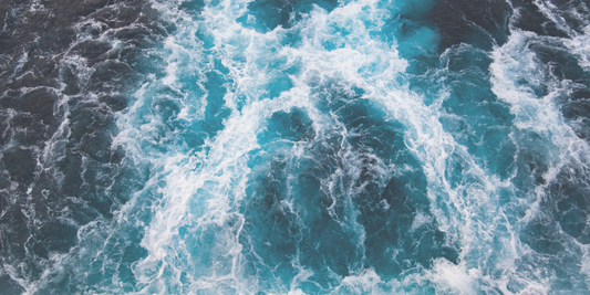 Why Wild-Harvested Jamaican Sea Moss Outshines Farmed Alternatives