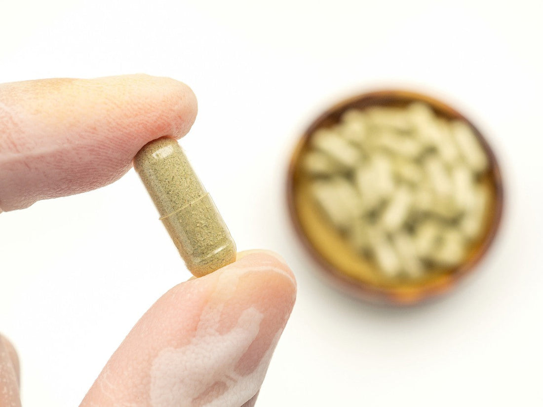 Sea Moss, medicine, and healthcare concept