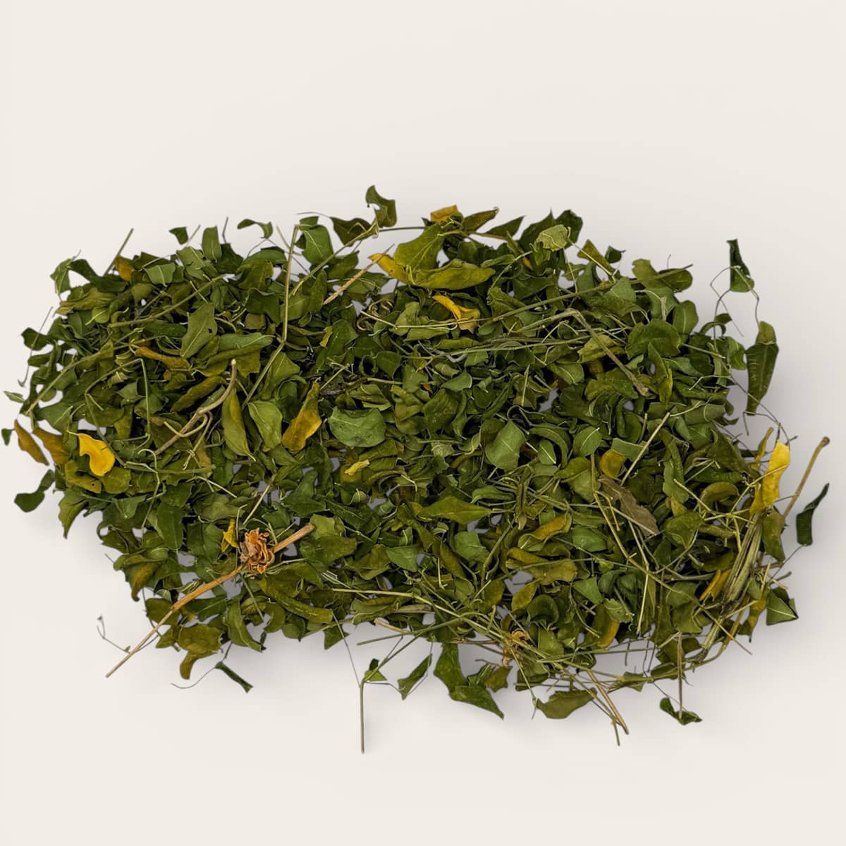 Moringa Leaves